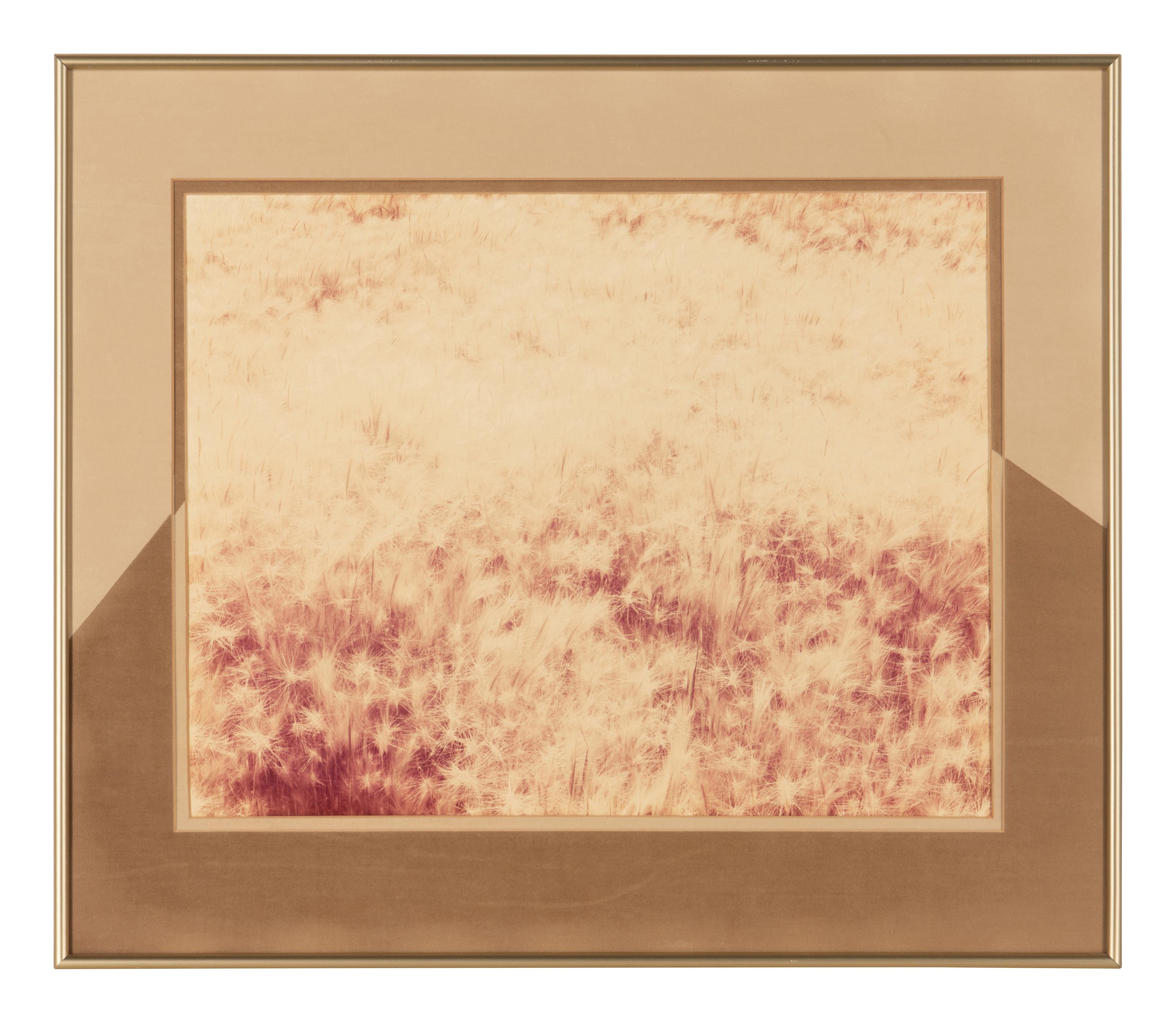 Eighteen Photographs, 1958-1979; printed 1982