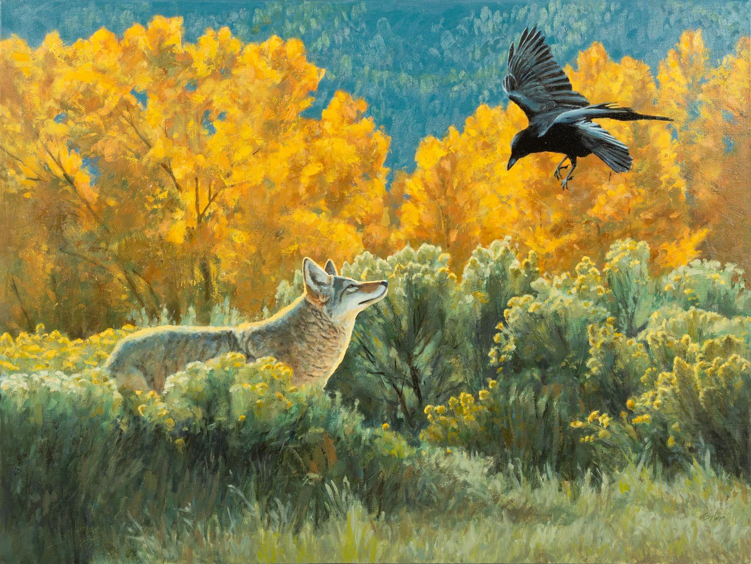 Yellow Aspens and Raven