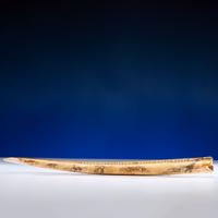 John Octuck (Inuit, 1873-1918) Scrimshawed Cribbage Board