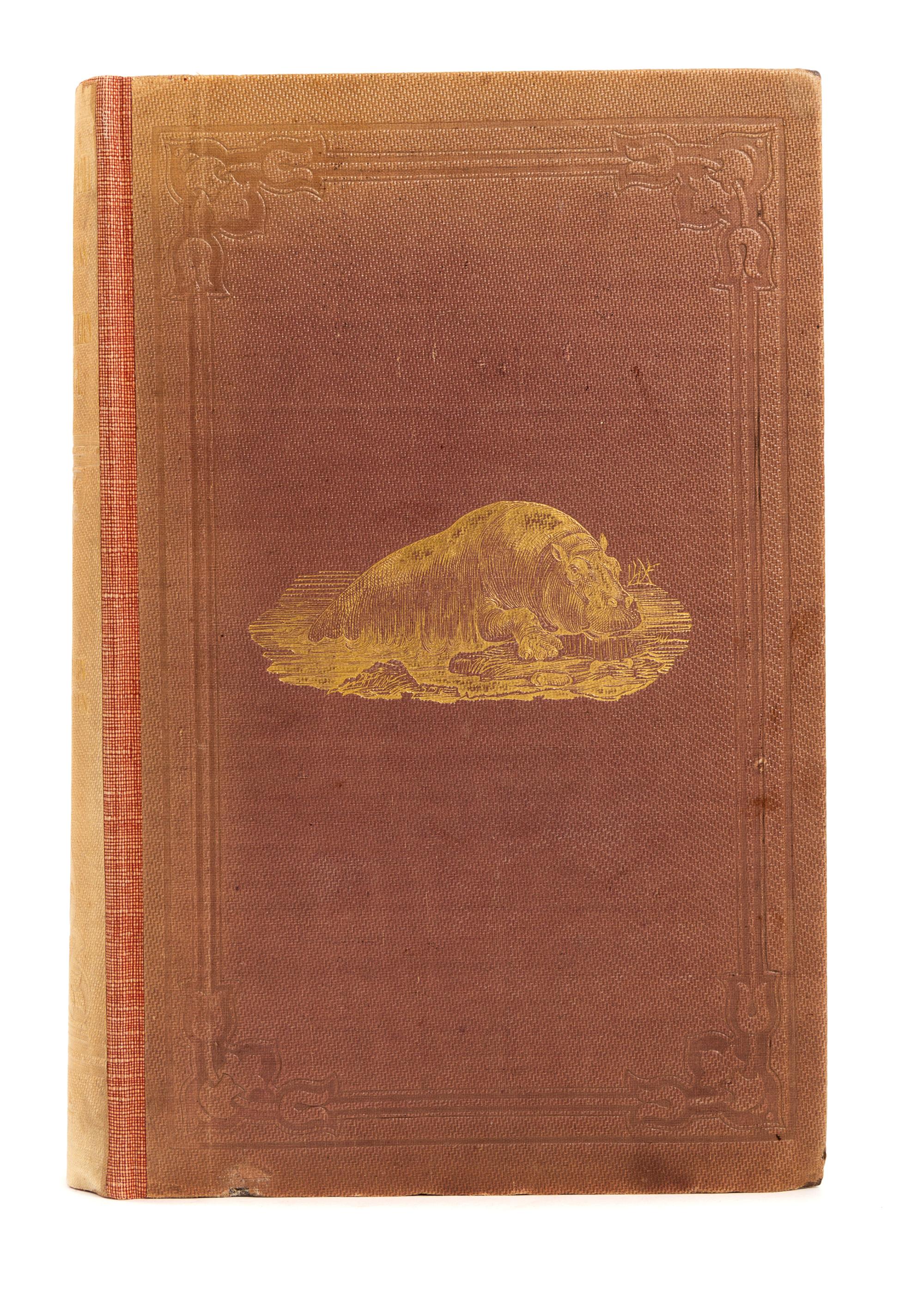 ANDERSSON, Charles John (1827-1867). Lake Ngami; or, Explorations and Discoveries, during four years' wanderings in the wilds of South