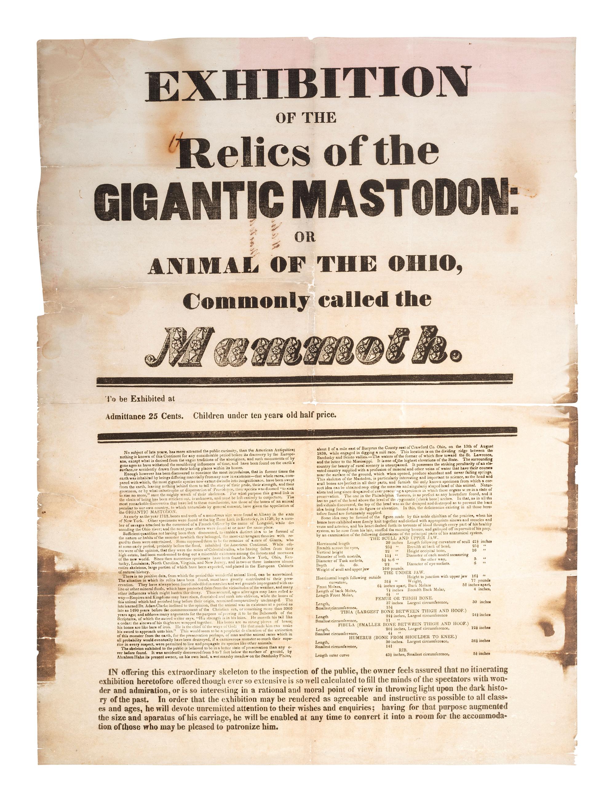 [NATURAL SCIENCE]. Exhibition of the Relics of the Gigantic Mastodon: or Animal of the Ohio, Commonly called the Mammoth.