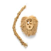 Haudenosaunee Corn Husk Mask and Braided Timpsila Rope