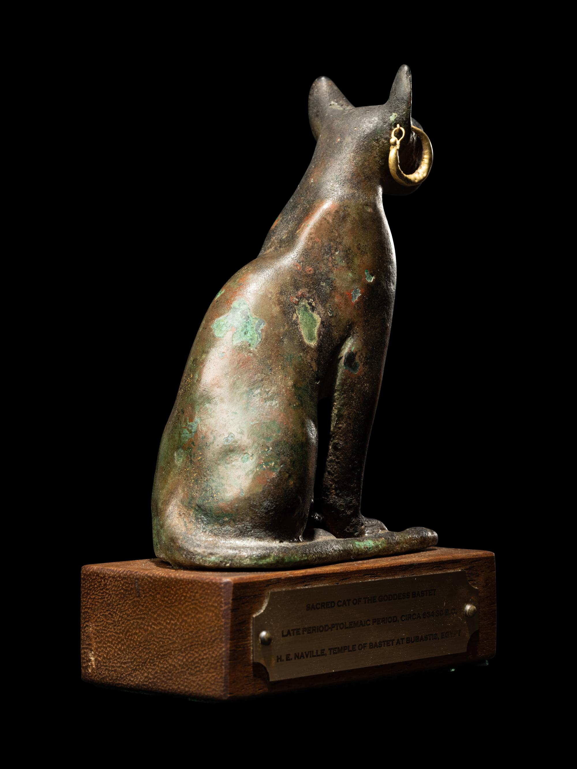 An Egyptian Bronze Cat
