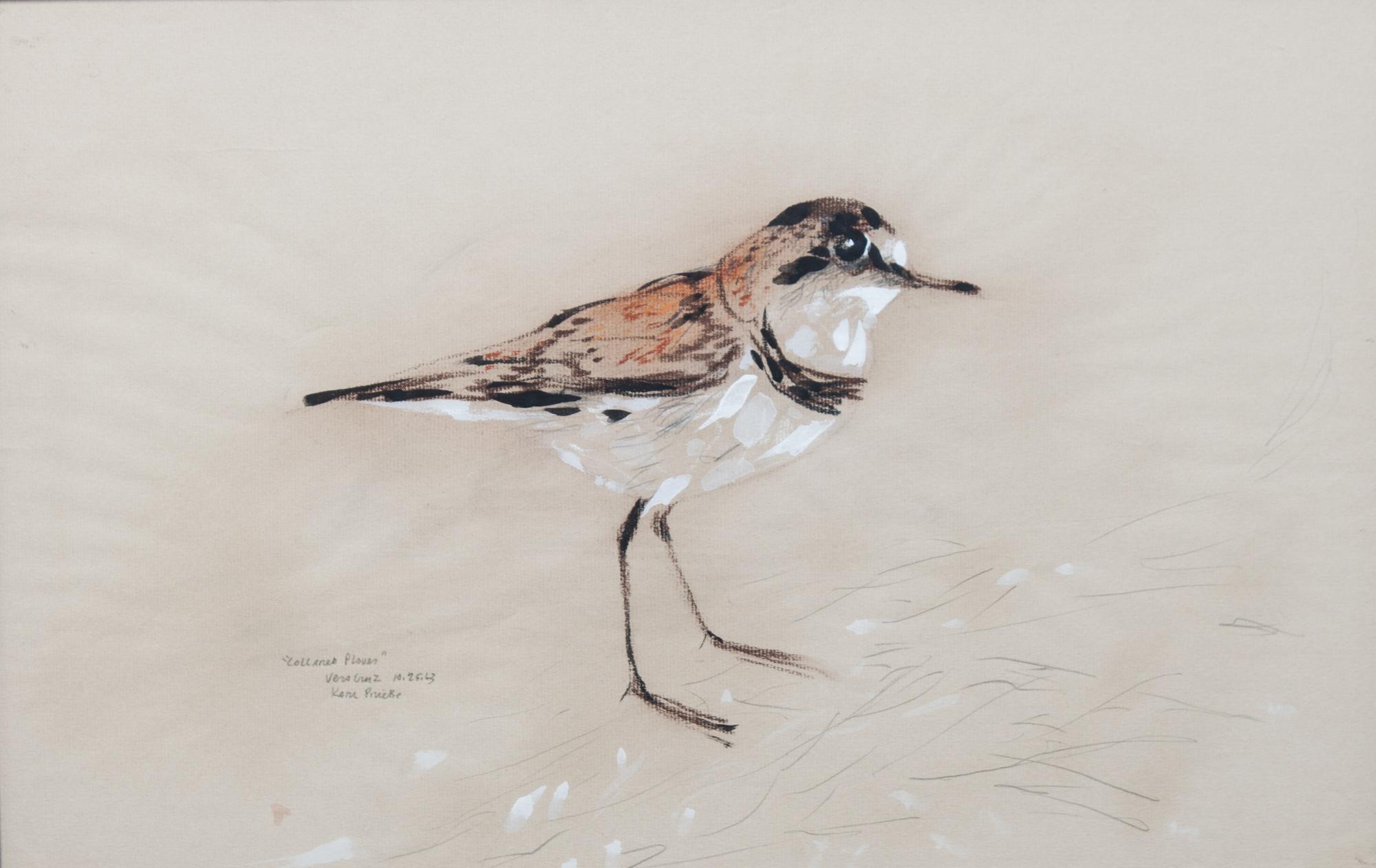 Karl Priebe, (Wisconsin, 1914-1976), Collared Plover, Vista Cruz, 1963