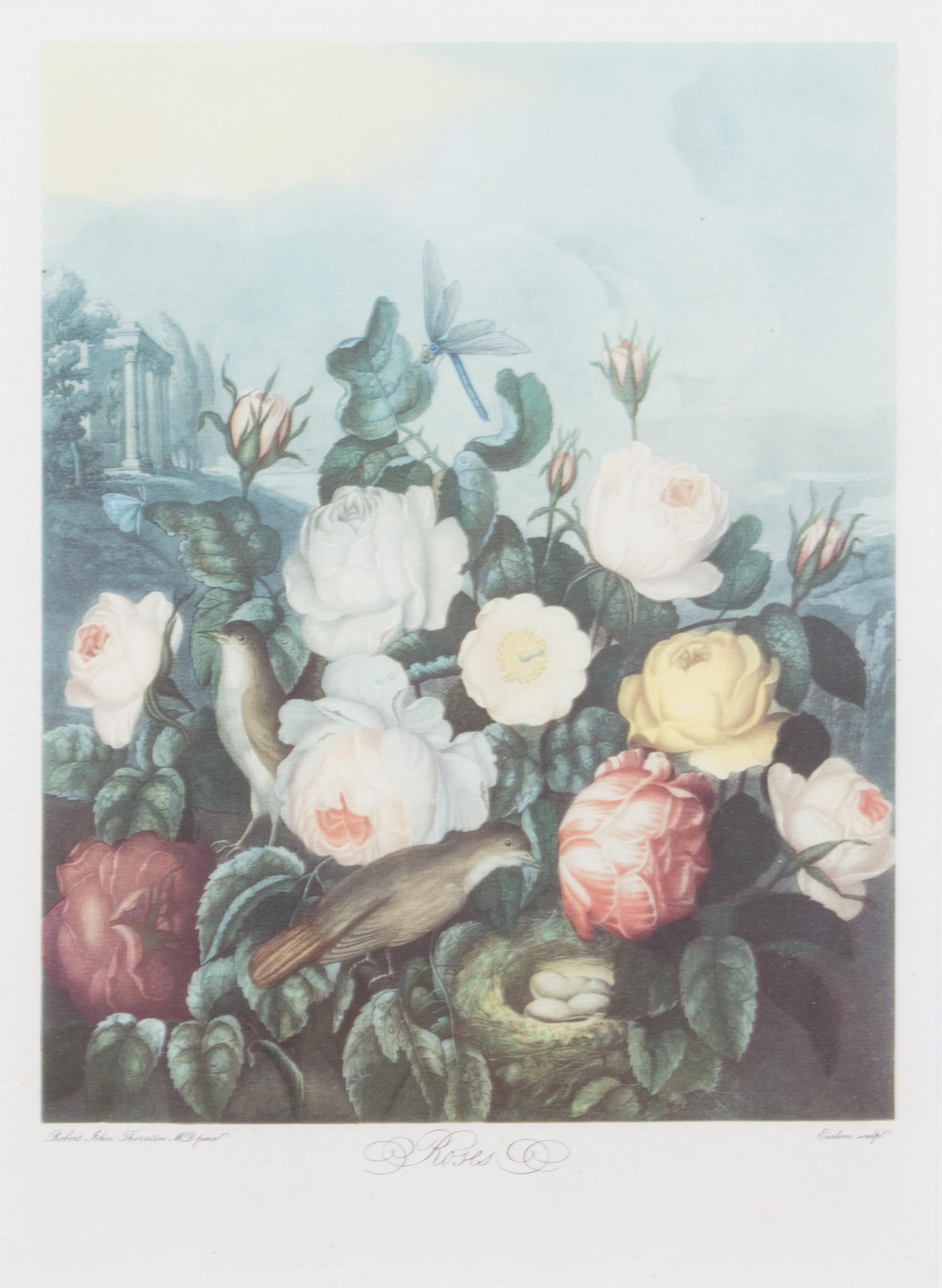 A Group of Seven Hand Colored Engravings Largest 27 x 21 inches. — 19TH CENTURY