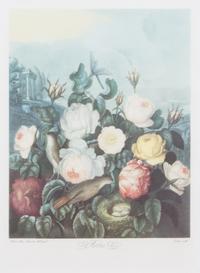 A Group of Seven Hand Colored Engravings Largest 27 x 21 inches. — 19TH CENTURY