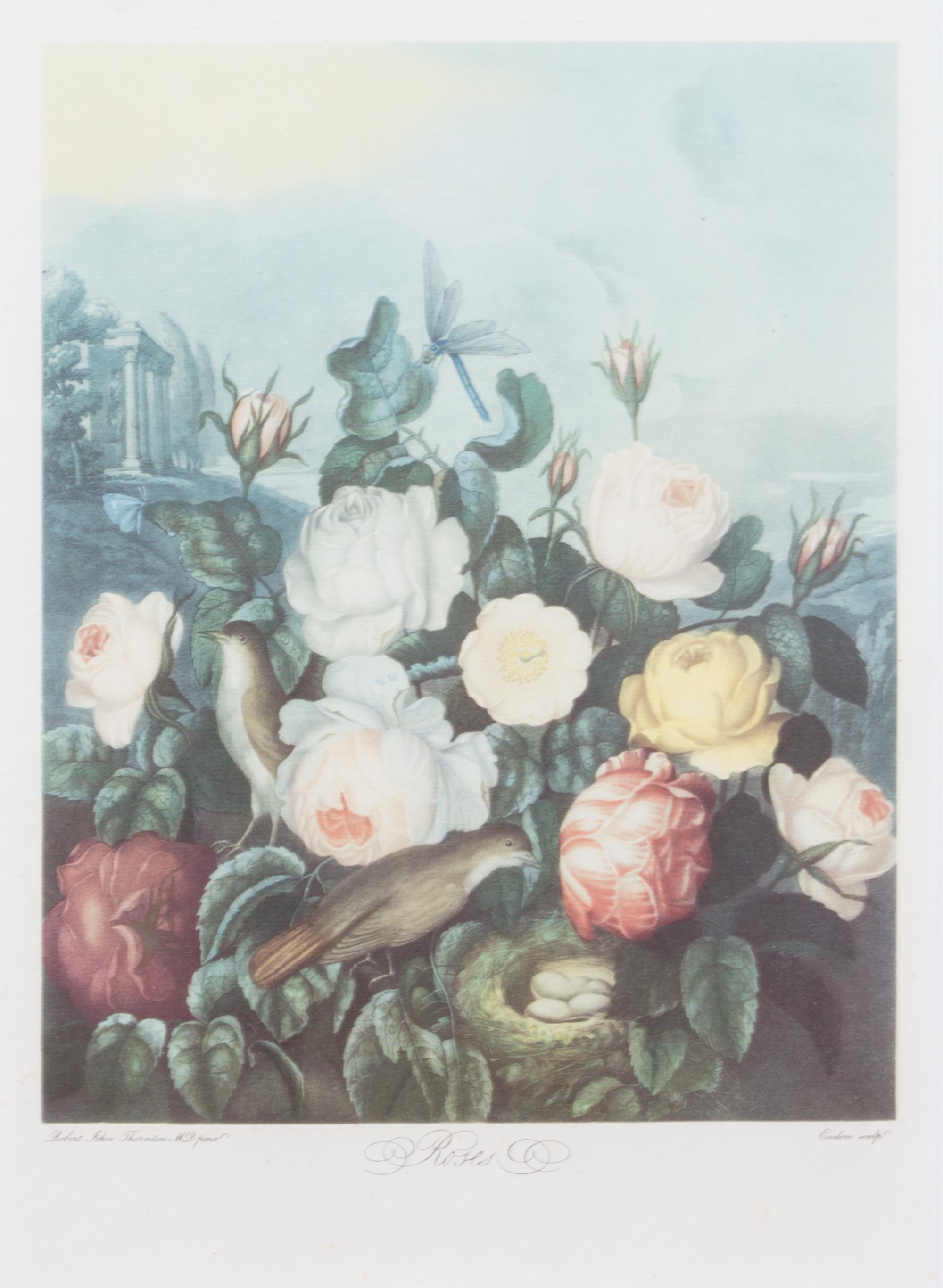 A Group of Seven Hand Colored Engravings Largest 27 x 21 inches. — 19TH CENTURY