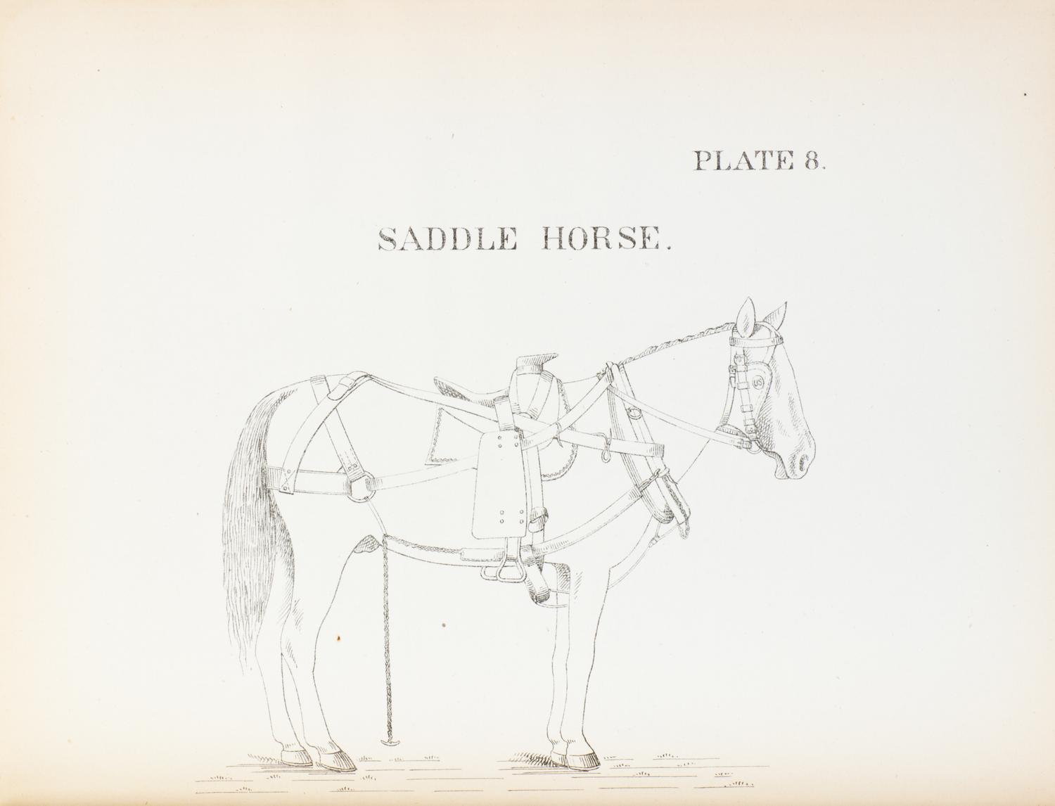 (US ARMY) U.S. Army Wagon Harness, (Horse and Mule.) Washington, 1877. With 30 plates.