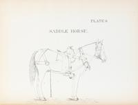 (US ARMY) U.S. Army Wagon Harness, (Horse and Mule.) Washington, 1877. With 30 plates.