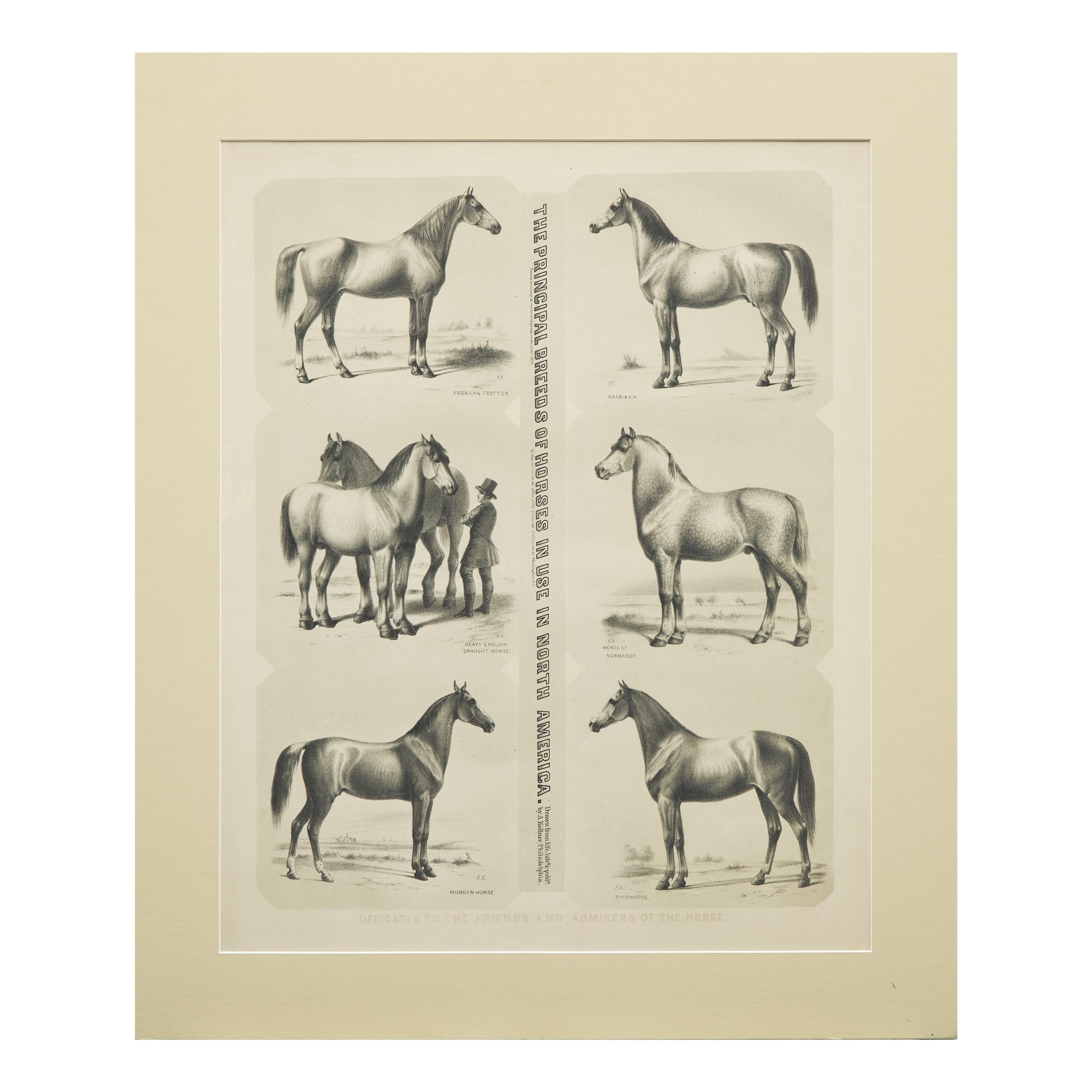 Augustus Kollner (1812-1906), The Principal Breeds of Horses in Use in North America