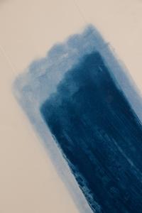 Large Blue