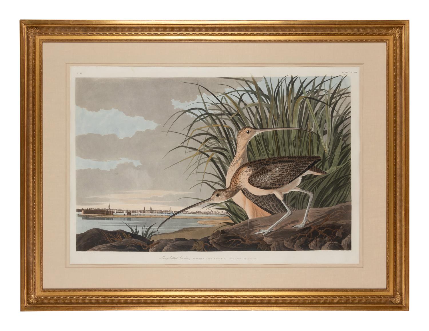 AUDUBON, John James (1785-1851)