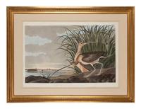 AUDUBON, John James (1785-1851)