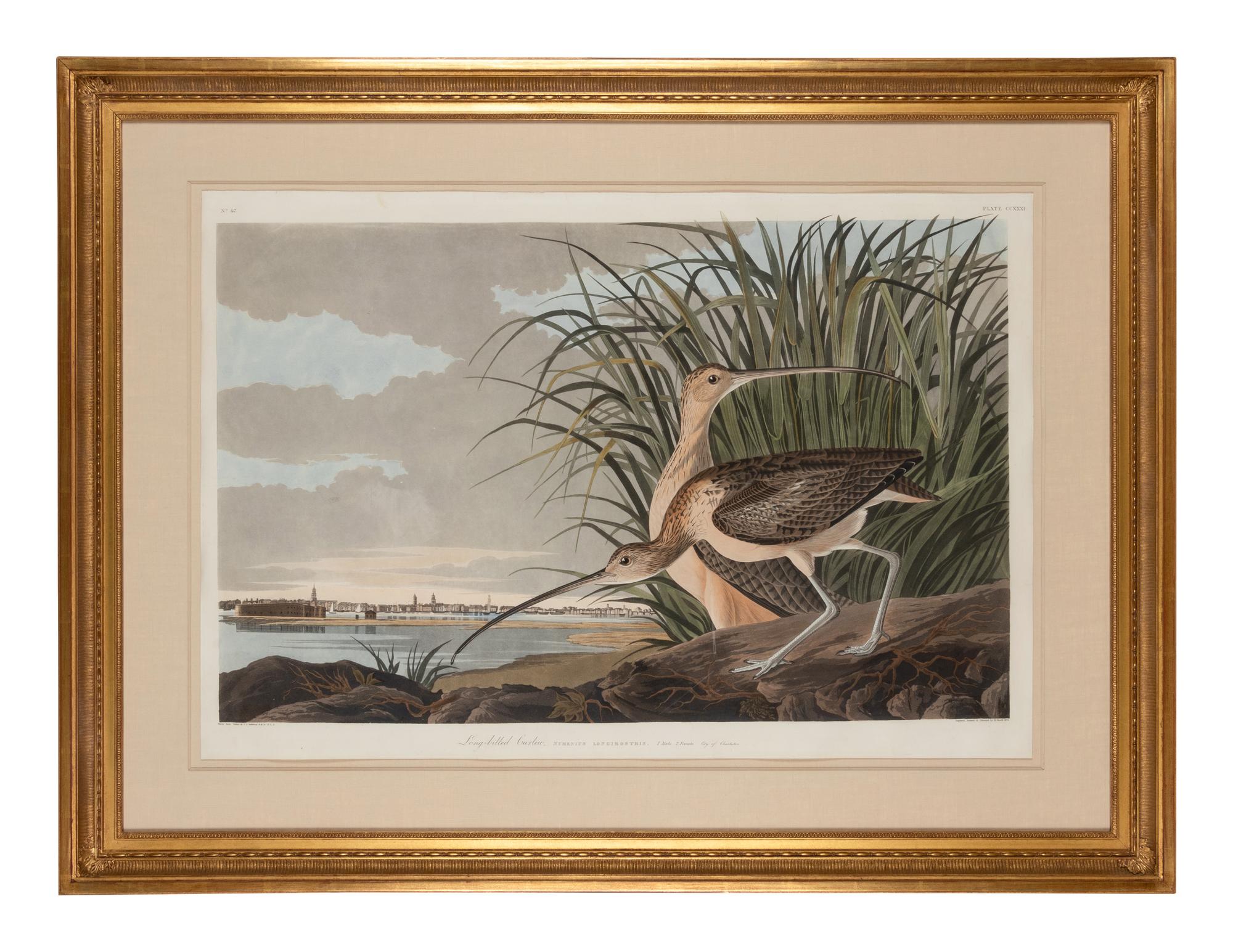 AUDUBON, John James (1785-1851)