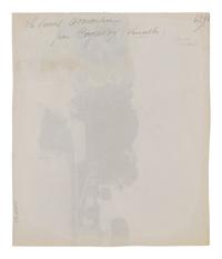 A group of five photographs depicting the grounds of Versailles ( Cours d'Honneur, Versailles , 1901; La Vénus accroupie, par Coysevox (Versailles) , 1902; Versailles - Bassin de Neptune, 1902; Versailles - l'Orangerie, 1903; Grand Trianon - le Buffet , 1906)