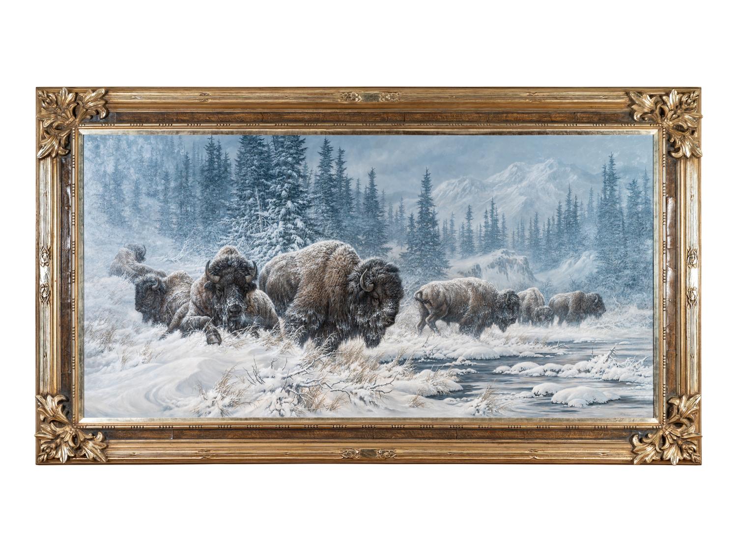 Colorado Buffalo