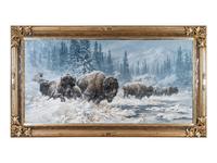 Colorado Buffalo
