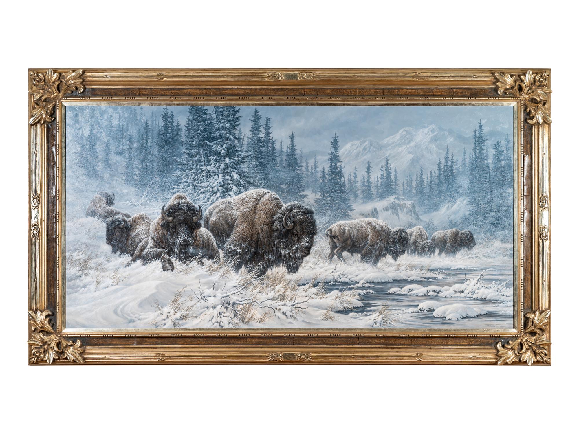 Colorado Buffalo