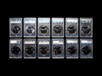 A Group of Twelve U.S Mint Issued America the Beautiful Series 5 oz. Silver Rounds (PCGS Graded)