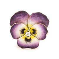 DIAMOND AND ENAMEL PANSY BROOCH