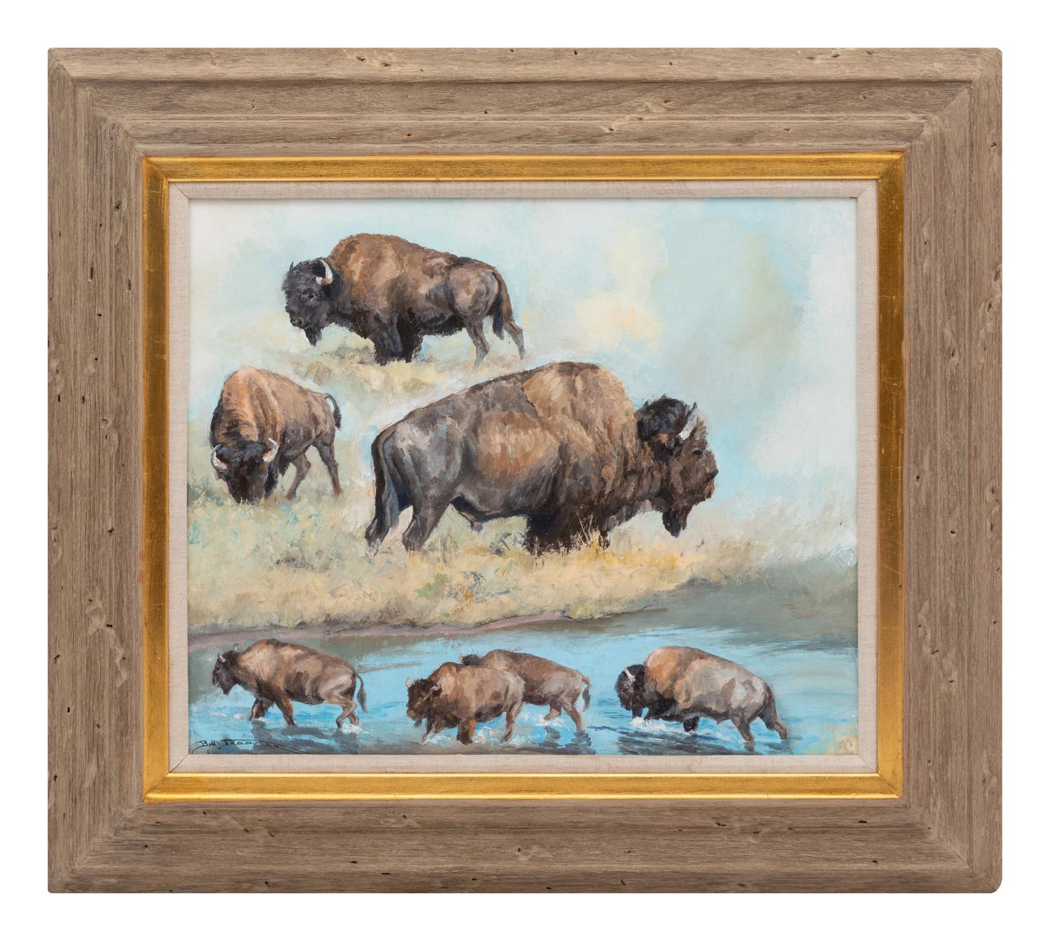 Buffalo Study