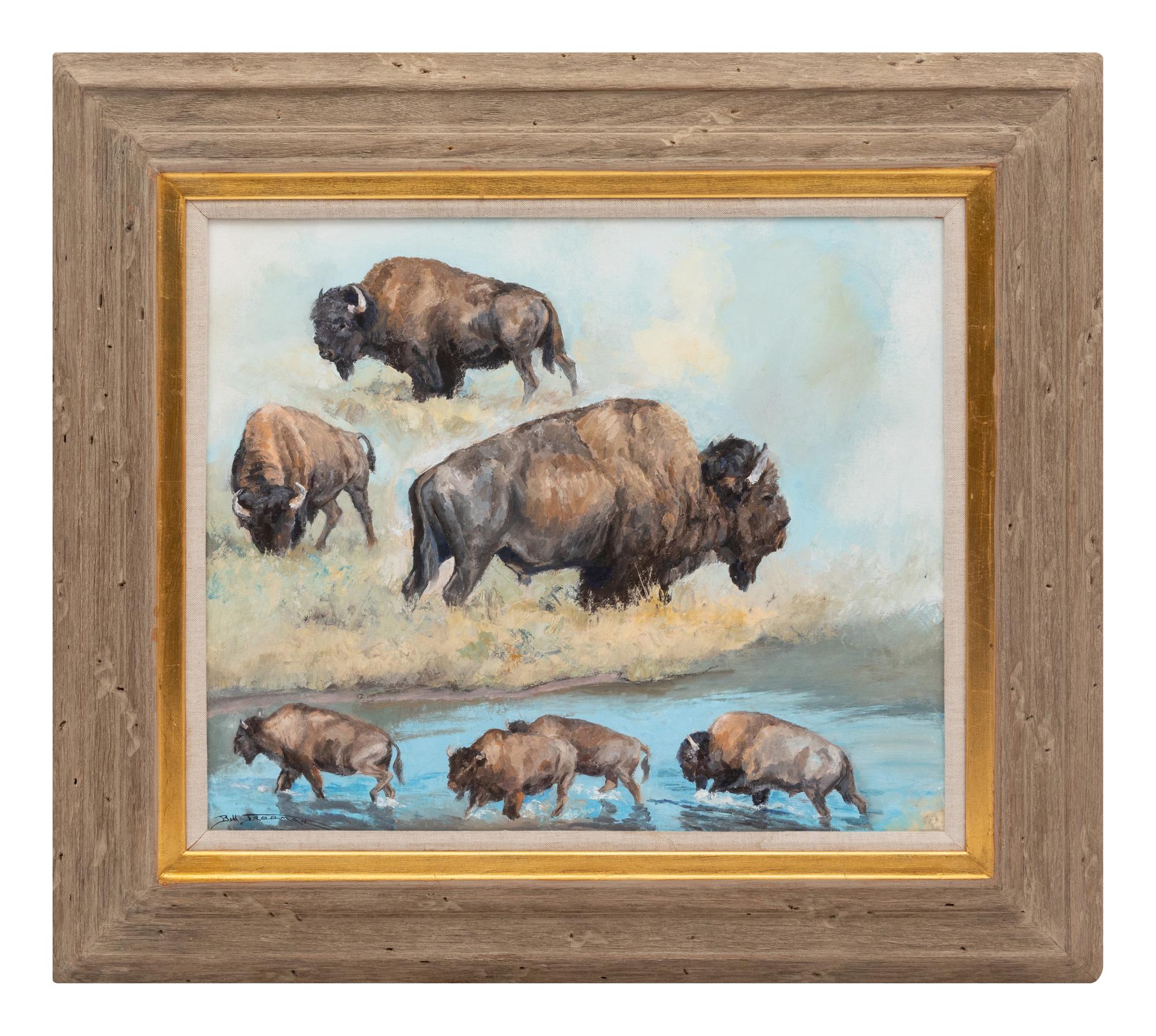 Buffalo Study