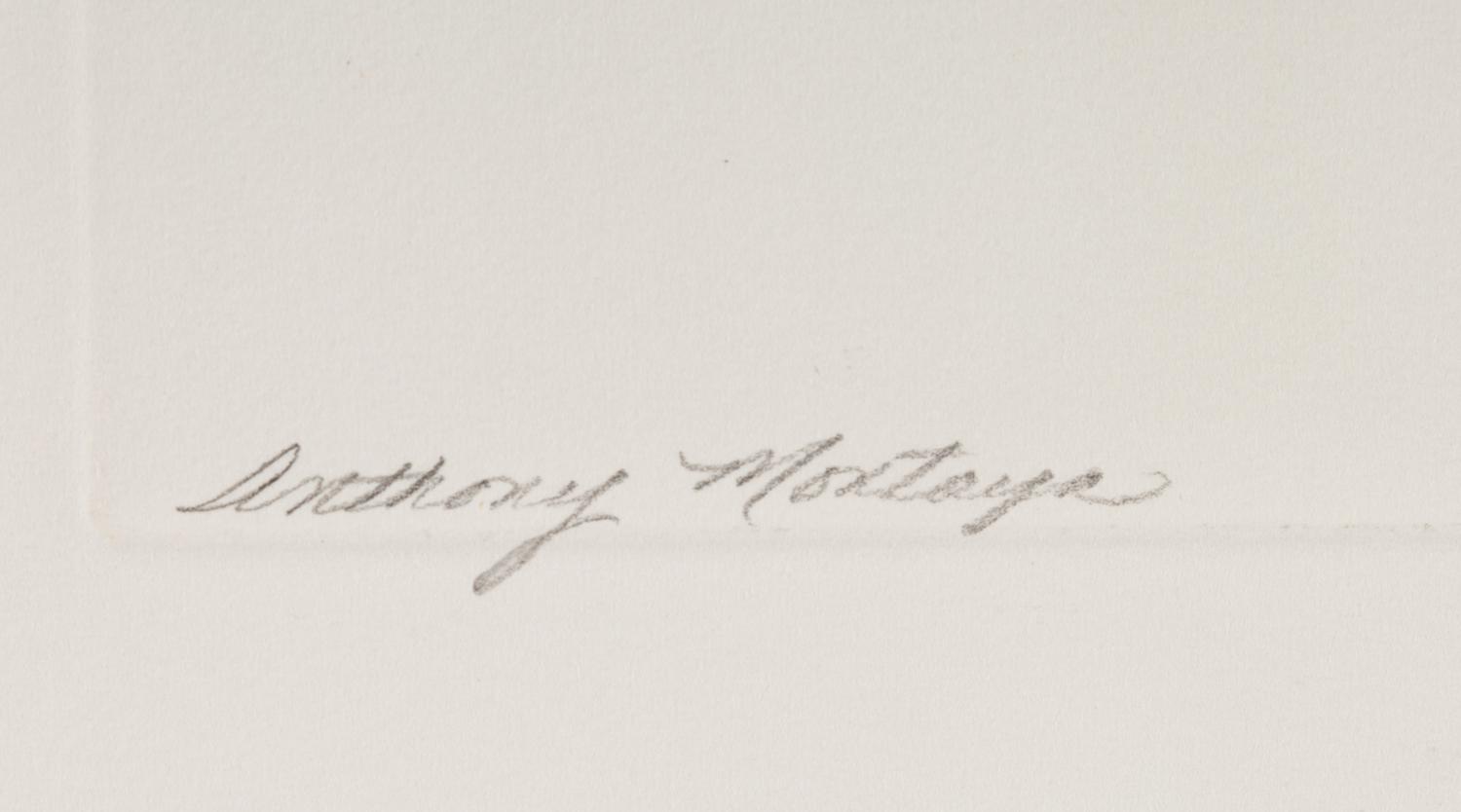 The White Fence , 1916; printed 1991