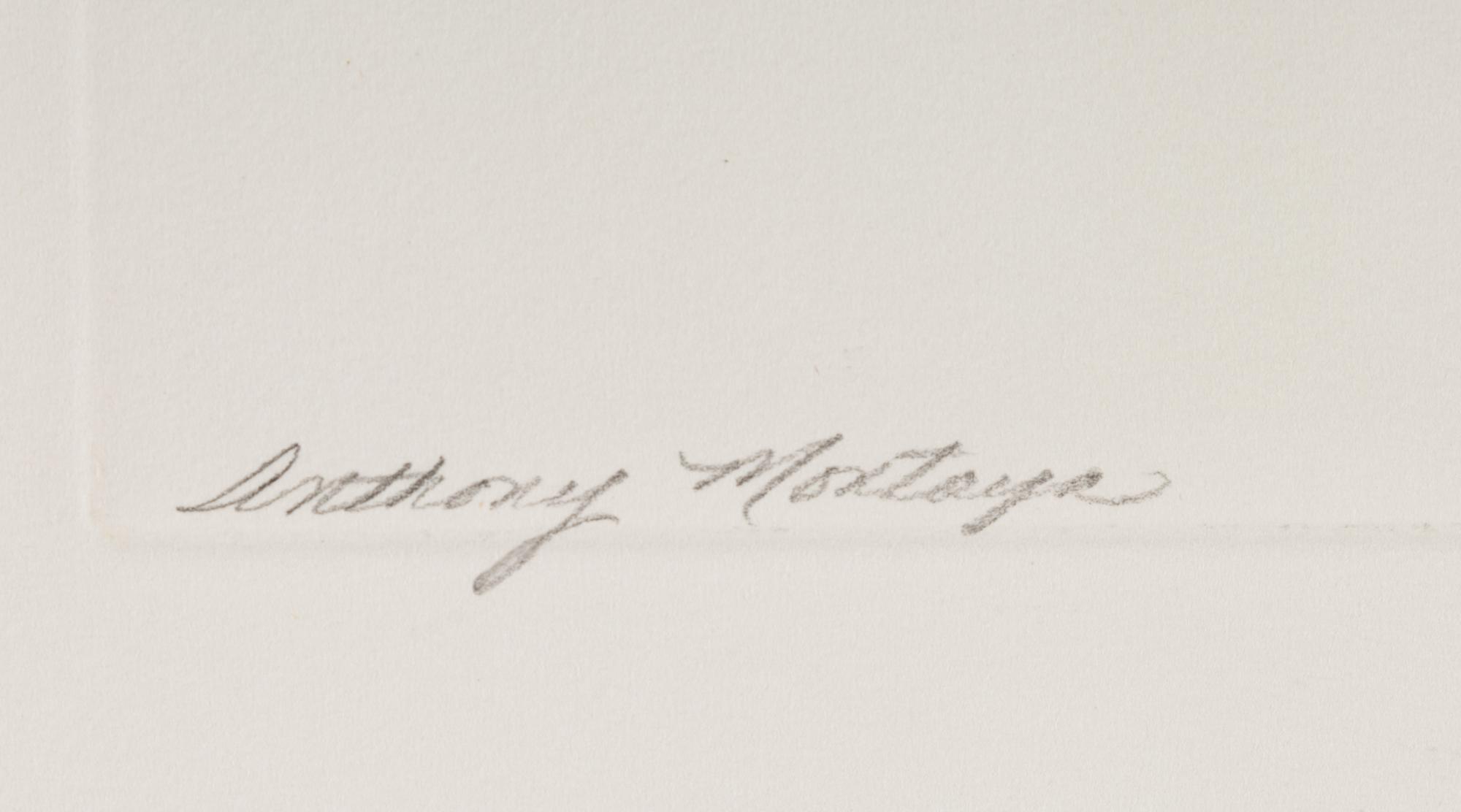 The White Fence , 1916; printed 1991