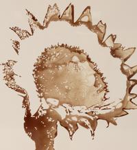 Sunflower #6, 2003