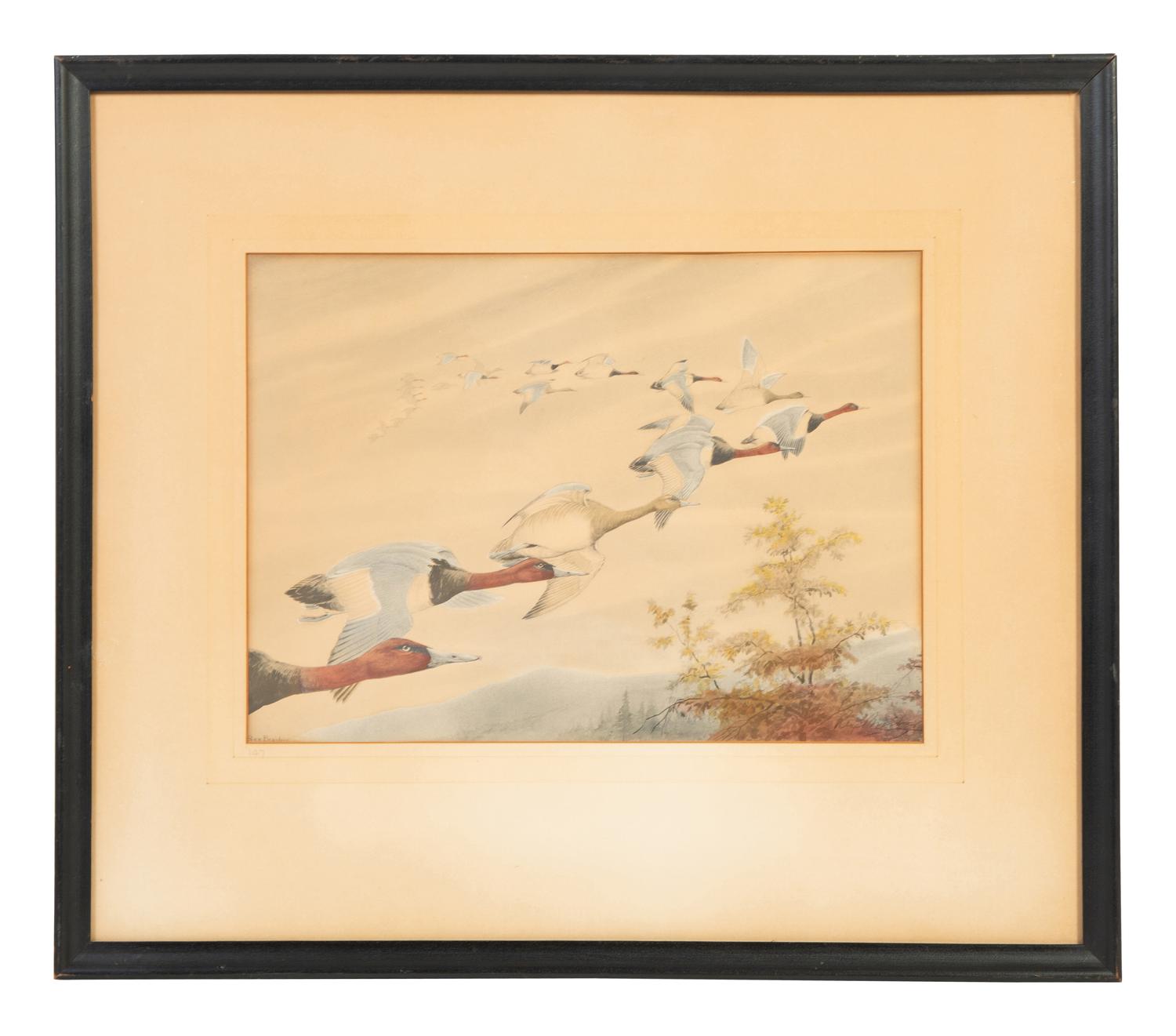 Two Works; Canvasbacks and Mergansers