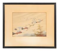 Two Works; Canvasbacks and Mergansers