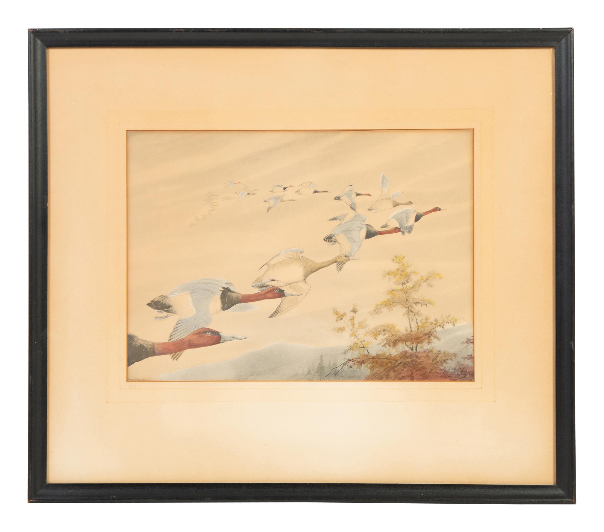 Two Works; Canvasbacks and Mergansers
