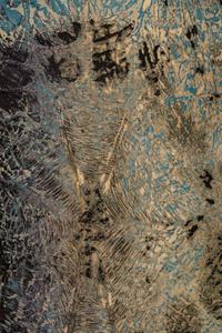 Spider Web