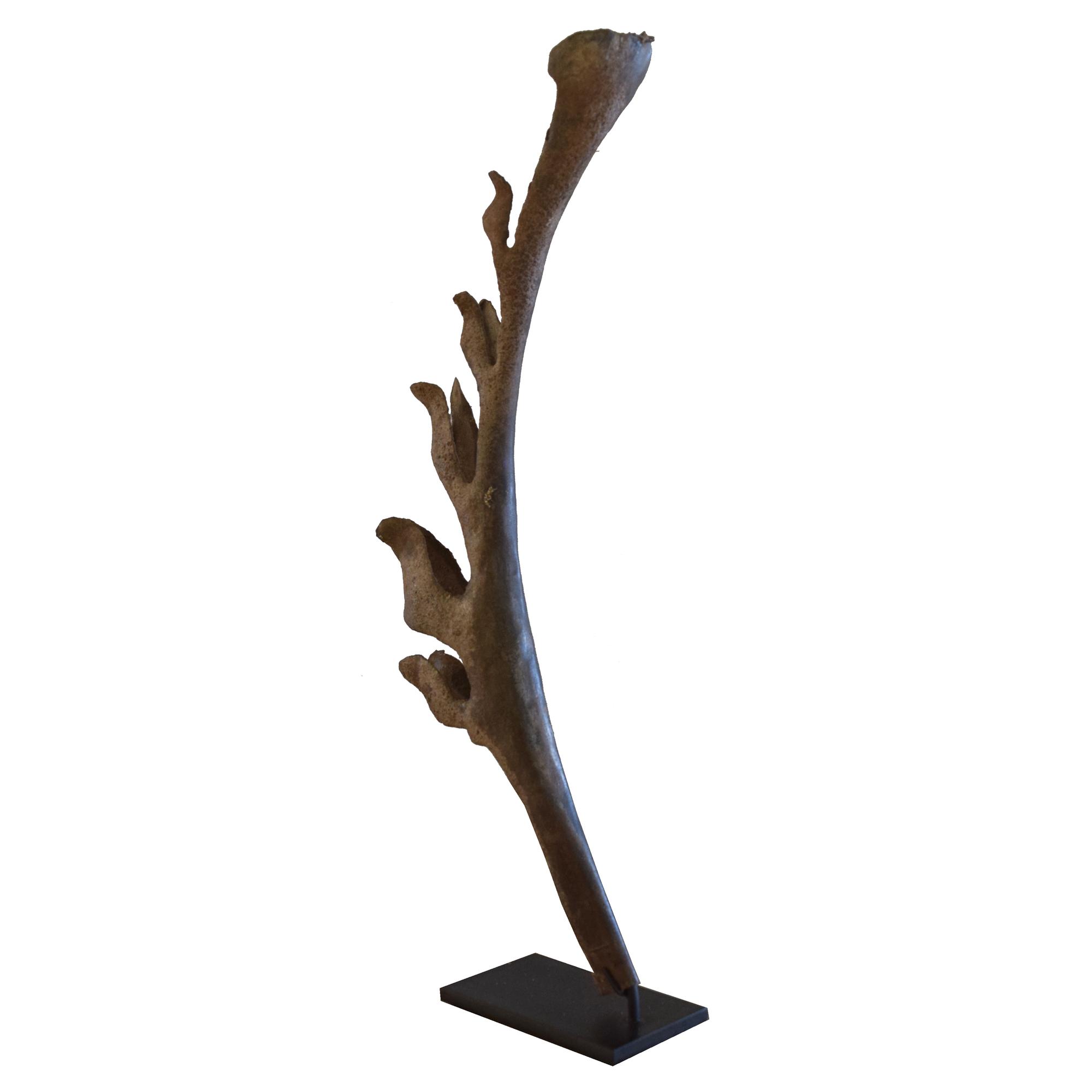 A Wrought Iron Leaf Fragment from the Estate of Jose Thenee 7" W x 2.5" D x 16.5" H — Argentina, 20th Century