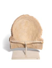 A Greek Terra Cotta Female Protome