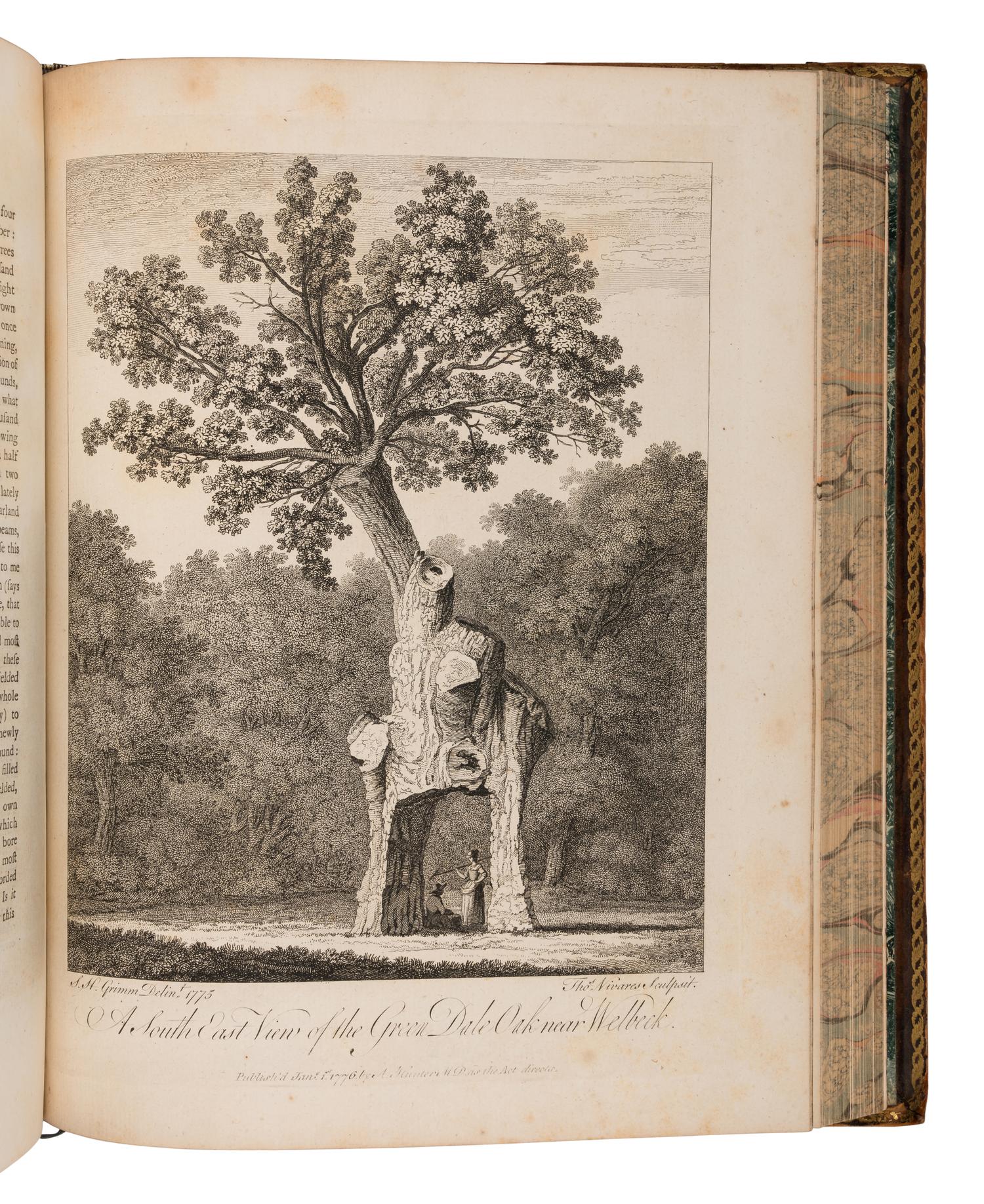 EVELYN, John (1620-1706). Silva: or, a Discourse of Forest-Trees . Alexander Hunter, editor. York: Printed by A. Ward for J. Dodsley et al, 1786.