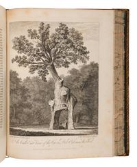 EVELYN, John (1620-1706). Silva: or, a Discourse of Forest-Trees . Alexander Hunter, editor. York: Printed by A. Ward for J. Dodsley et al, 1786.