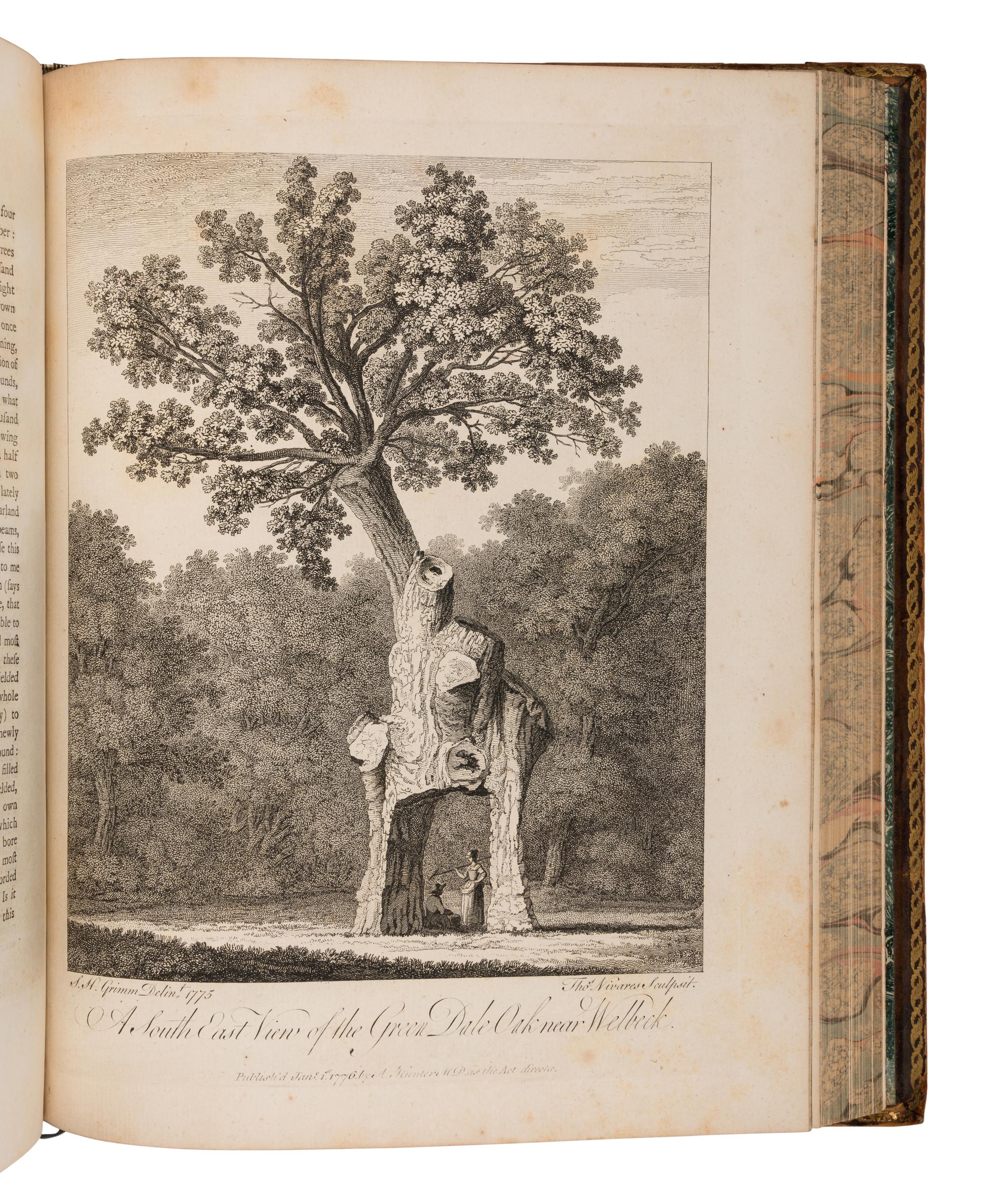 EVELYN, John (1620-1706). Silva: or, a Discourse of Forest-Trees . Alexander Hunter, editor. York: Printed by A. Ward for J. Dodsley et al, 1786.