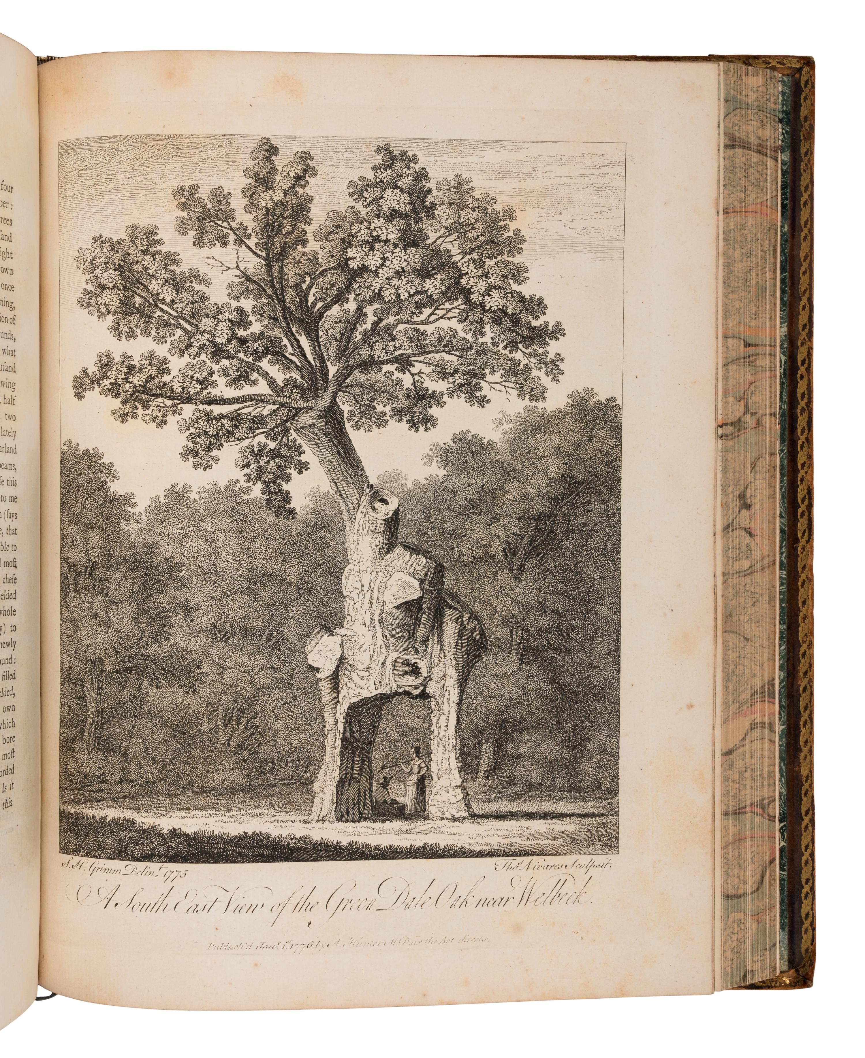 EVELYN, John (1620-1706). Silva: or, a Discourse of Forest-Trees . Alexander Hunter, editor. York: Printed by A. Ward for J. Dodsley et al, 1786.