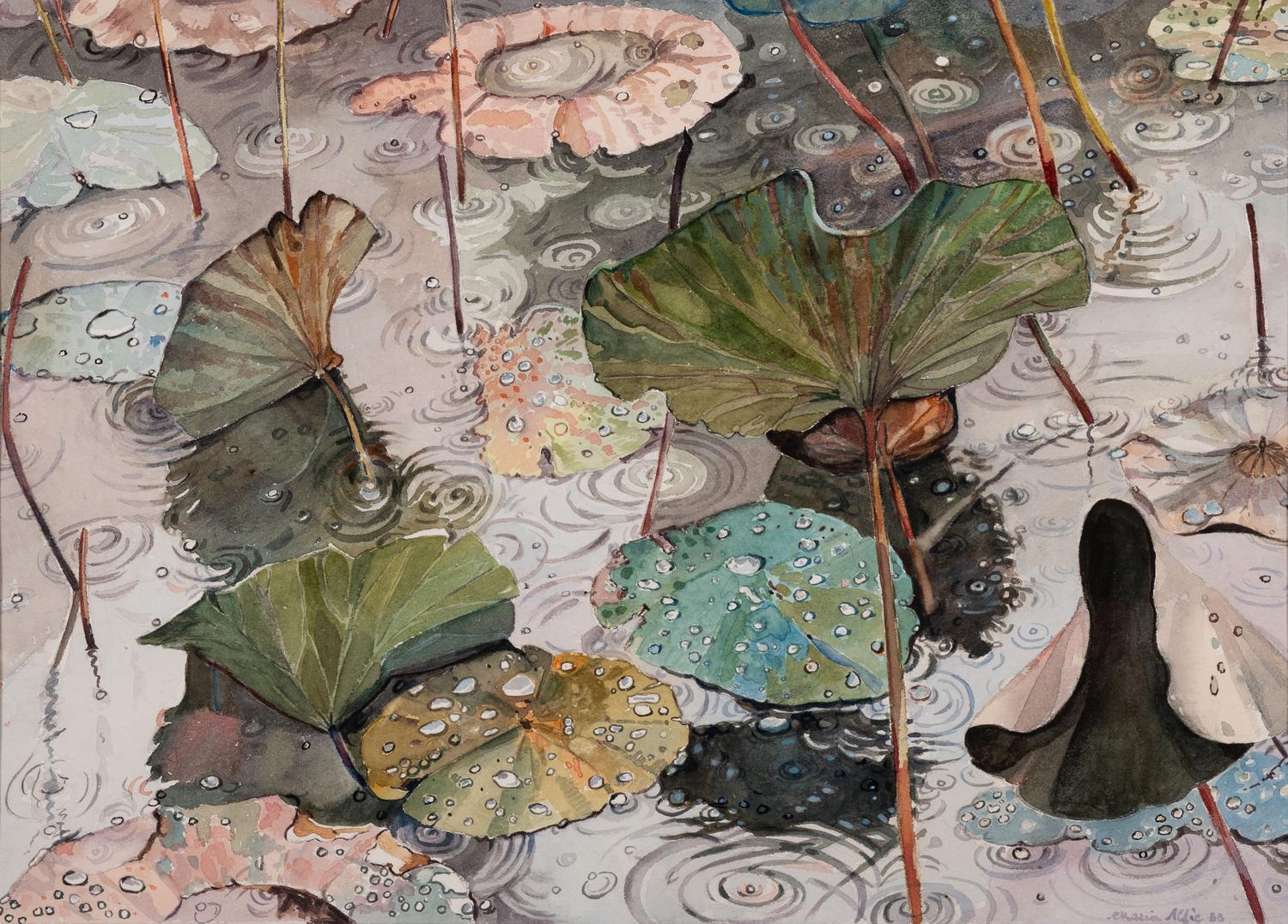 Lily Pads