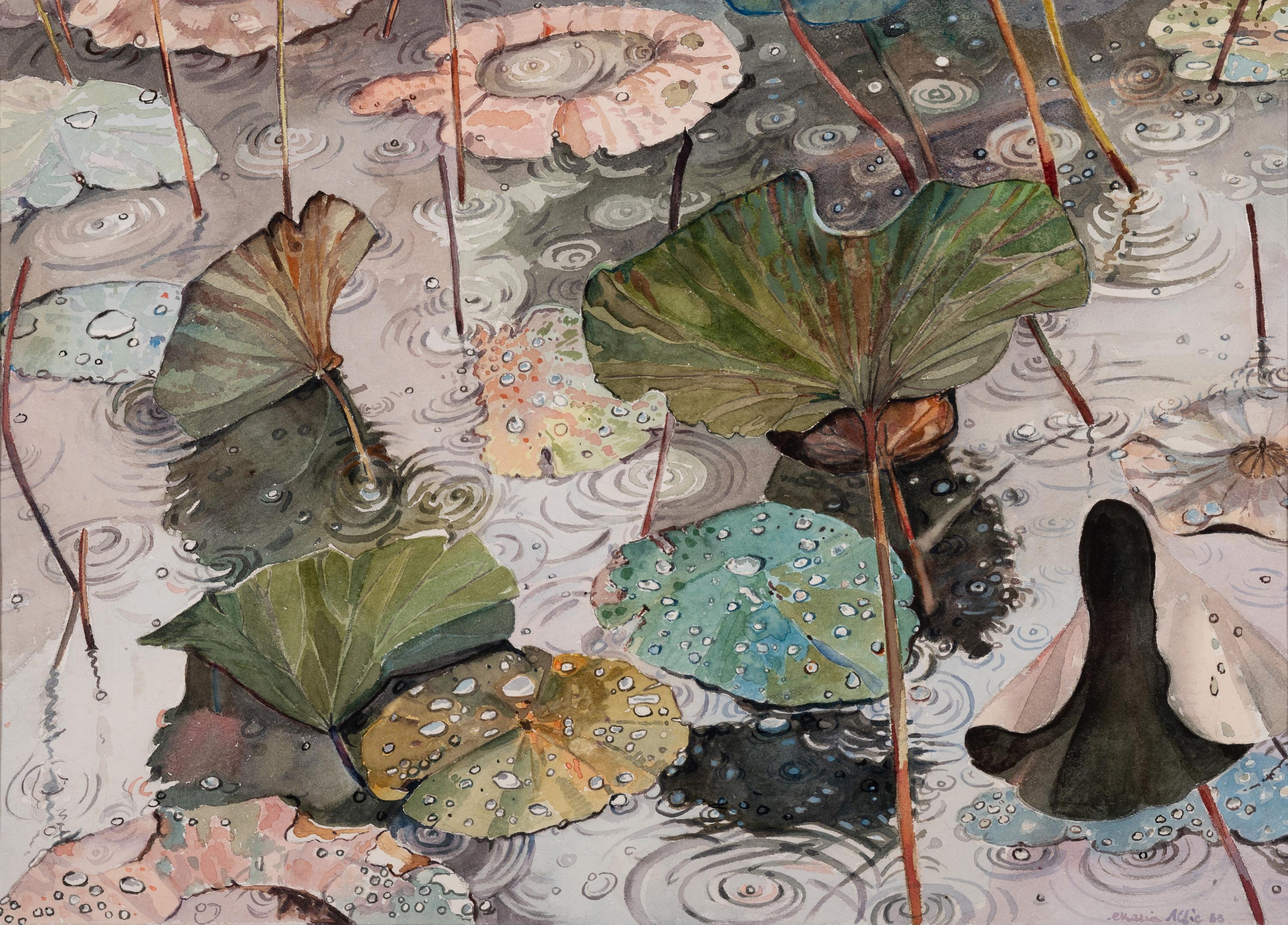 Lily Pads