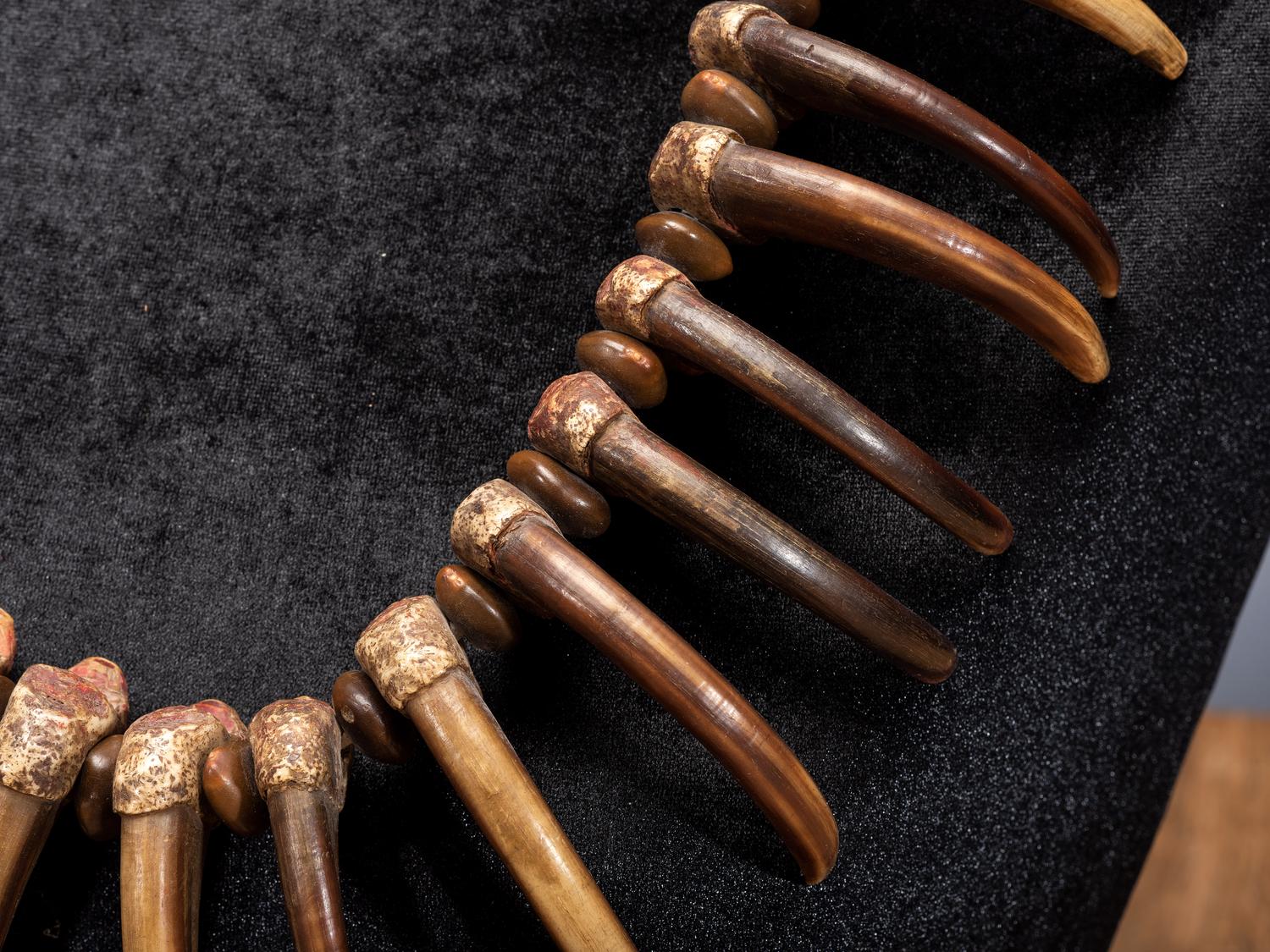 Sioux Grizzly Bear Claw Necklace