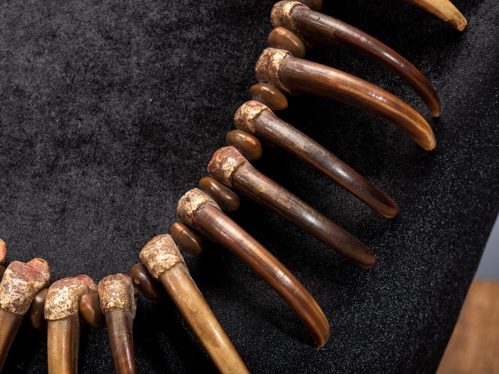 <div><strong>Sioux Grizzly Bear Claw Necklace</strong></div>