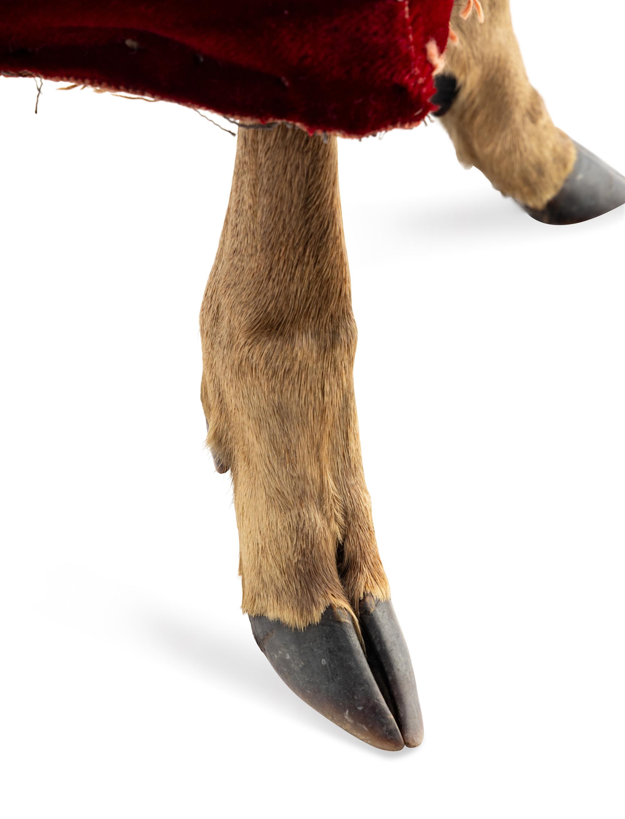 A Taxidermy Deer Leg Foot Stool