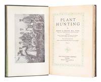 [FLOWERING PLANTS]. A group of 13 works, including: