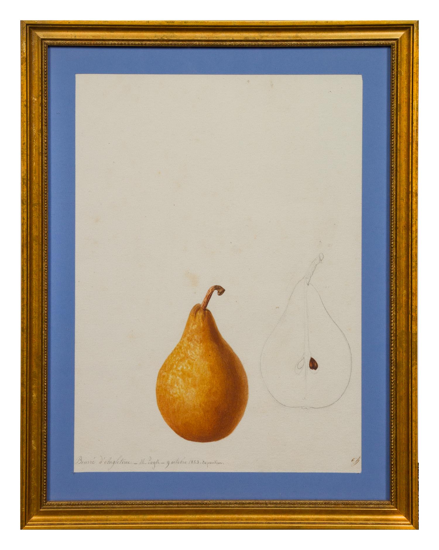 Anthelme-Eugène Grobon, (French, 1820-1878), Two Studies of a Beurré d'Angleterre Pear, 1843