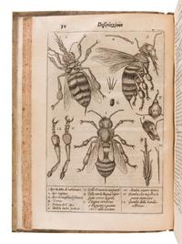 PERSIUS FLACCUS, Aulus (34-62). Persio tradotto in verso sciolto e dichiarato . Francesco Stelluti (1577-1653), translator. Rome: G. Mascardi, 1630.