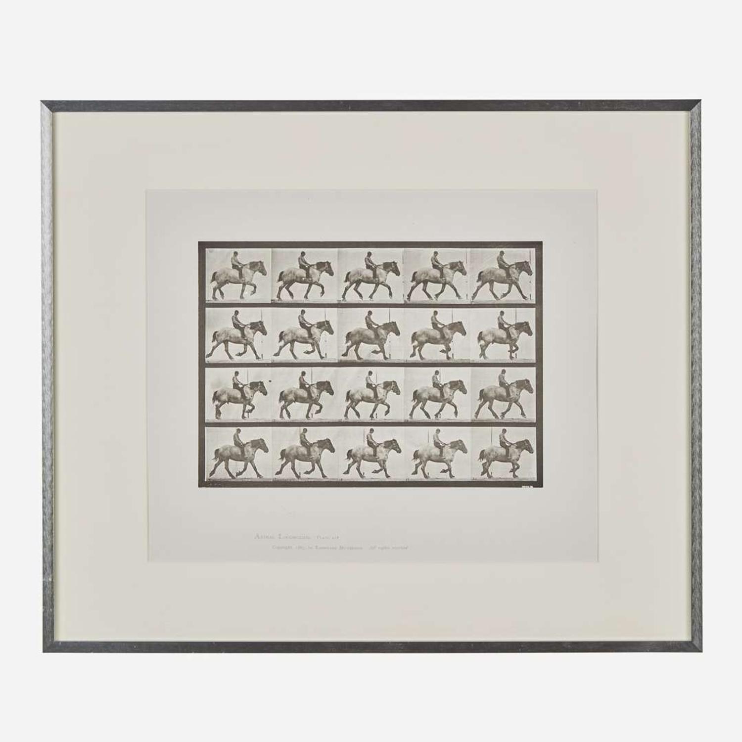 Eadweard Muybridge (British, 1830-1904) Animal Locomotion, Plate 597