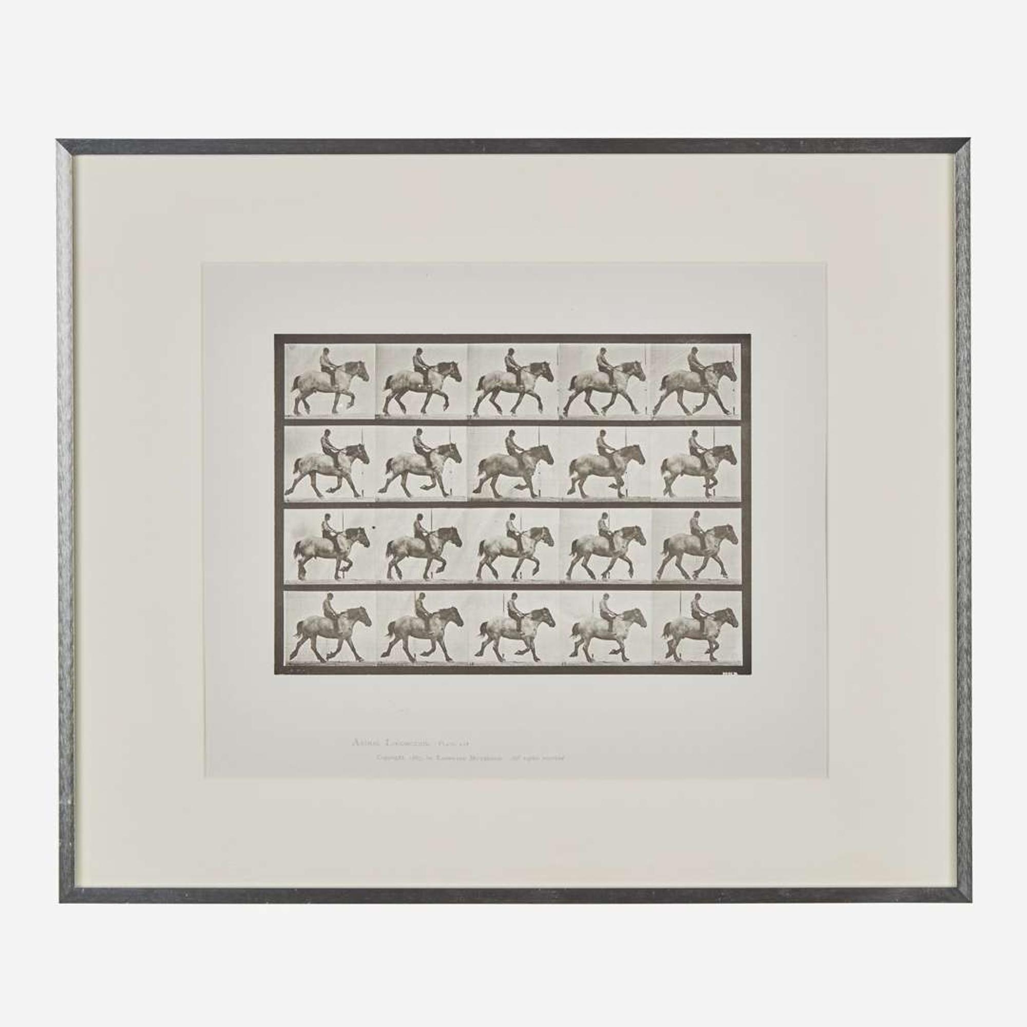 Eadweard Muybridge (British, 1830-1904) Animal Locomotion, Plate 597