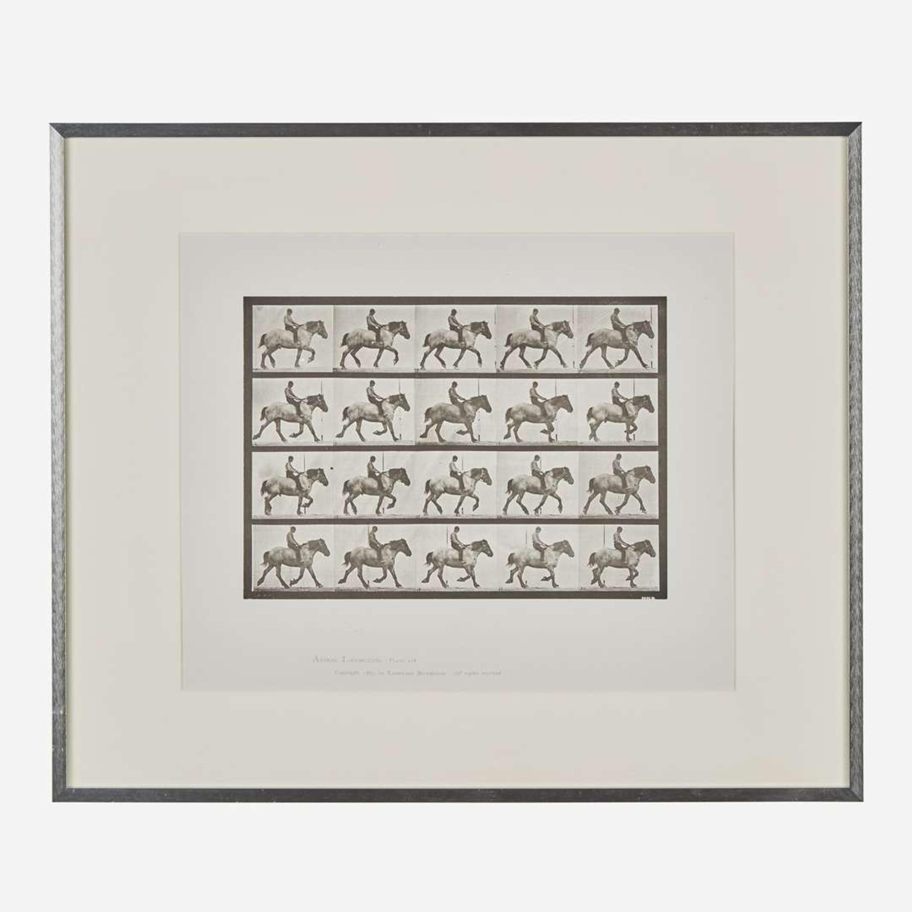Eadweard Muybridge (British, 1830-1904) Animal Locomotion, Plate 597
